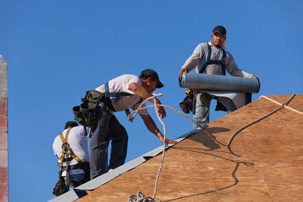 Best Local Roofing Companies  in Aho Falls, ID